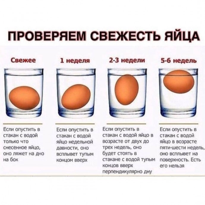 Как определить свежесть яйца, не разбивая его Как определить свежесть яйца, не разбивая его