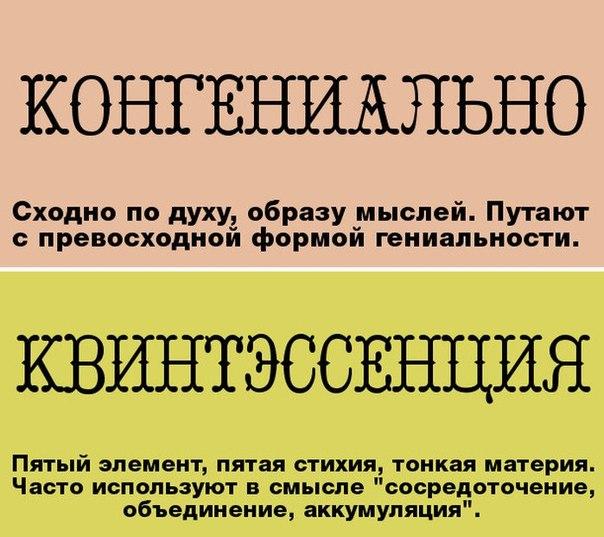 Учимся говорить по-русски правильно: слова, часто используемые "не по назначению"