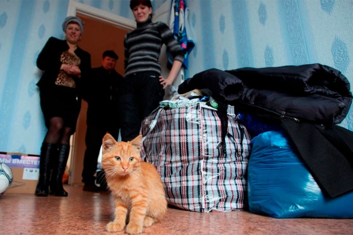 Зачем при переезде первой в дом запускали кошку Зачем при переезде первой в дом запускали кошку