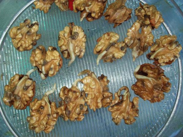Эффективный рецепт оздоровления пророщенными грецкими орехами Эффективный рецепт оздоровления пророщенными грецкими орехами