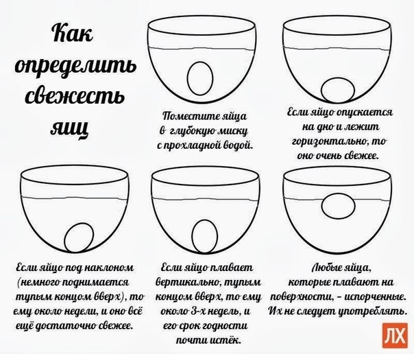 Как определить свежесть яиц