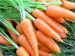 Как выбирать морковь. 