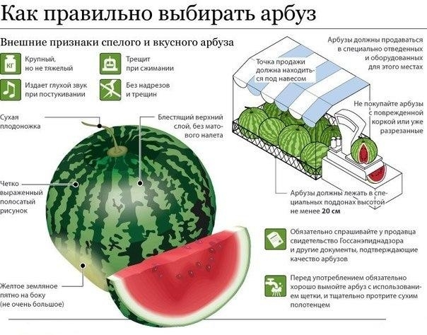 Как правильно выбирать арбуз