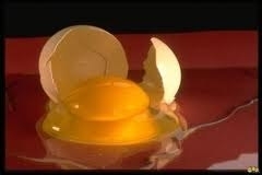 Как подобрать с пола разбившееся яйцо