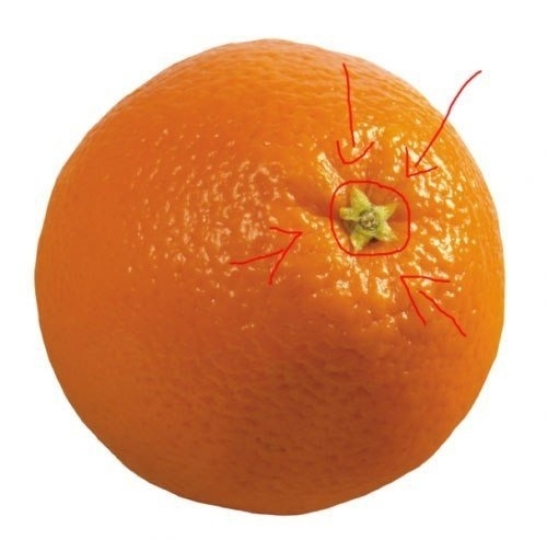Как узнать сколько долек в апельсине?