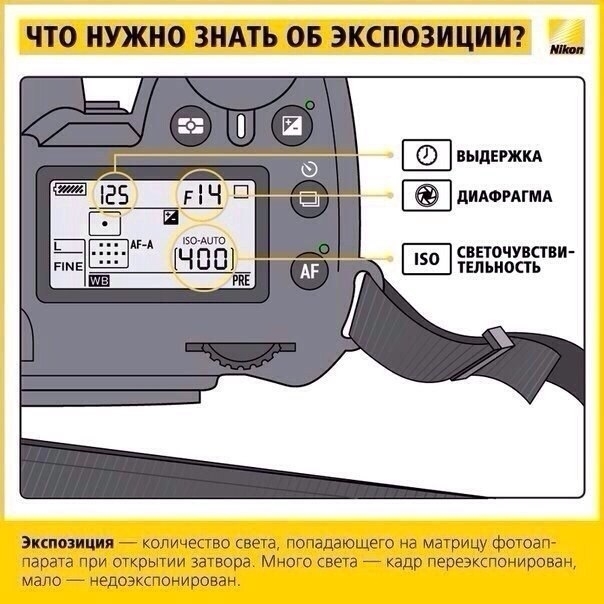 Всё что вы должны знать о экспозиции