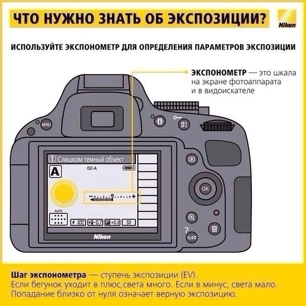 Всё что вы должны знать о экспозиции