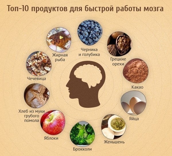 Топ-10 продуктов для быстрой работы мозга