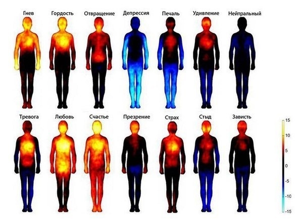 Тепловая карта, показывающая, как мы чувствуем эмоции.