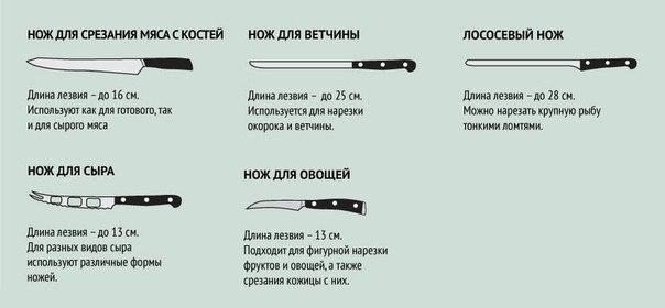 Изучаем виды ножей