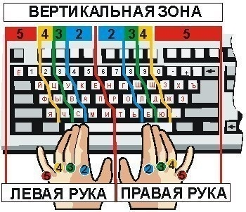 Как научится печатать вслепую? Как научится печатать вслепую?