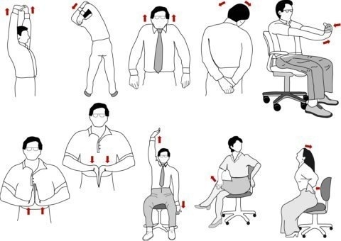Не отходя от кресла: 5 упражнений для офисных работников Не отходя от кресла: 5 упражнений для офисных работников