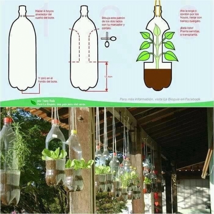 Мини-сад в пластиковых бутылках