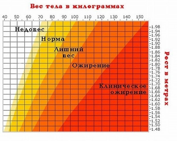 Полезная таблица соотношения роста и веса