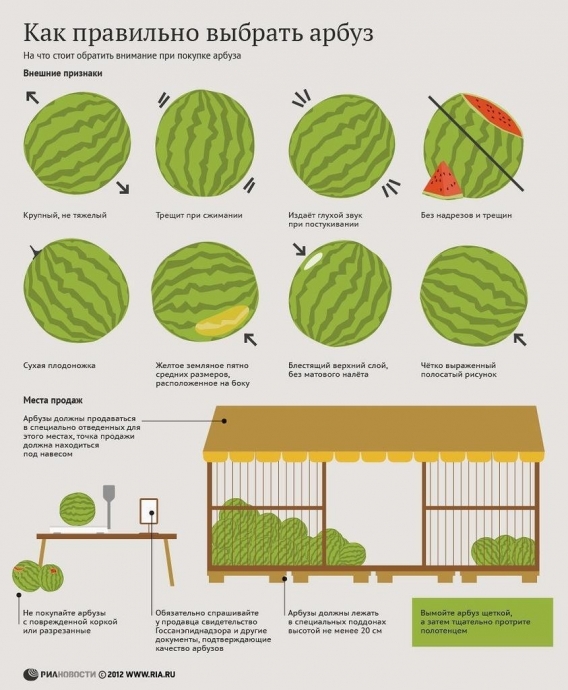 Как правильно выбирать арбуз