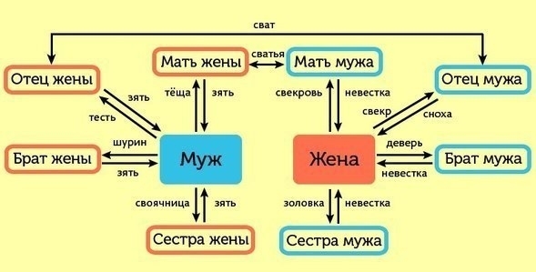 Как не запутаться в родственниках