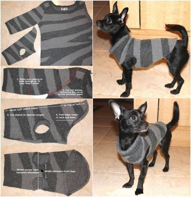 Одежда для собаки из рукава