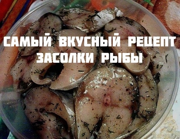 Самый вкусный рецепт засолки рыбы