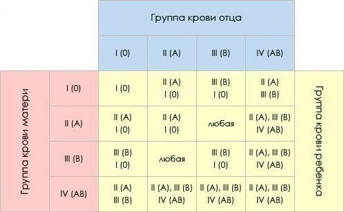 Определяем пол ребенка по группе крови родителей