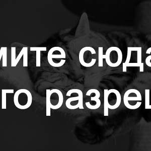 Расслабиться как кошка? 6 способов мурлыкающий терапии.