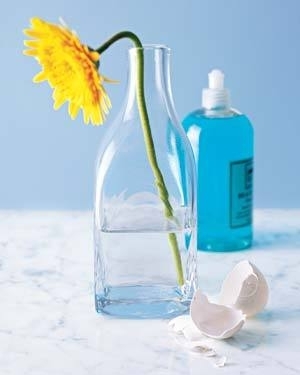 Яичная скорлупа поможет отмыть стеклянные вазы и бутылки с узким горлышком