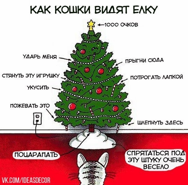 Как кошки видят елку