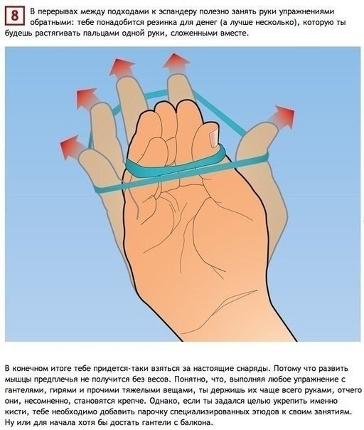 Простые упражнения, тренирующие все 27 мышц рук.