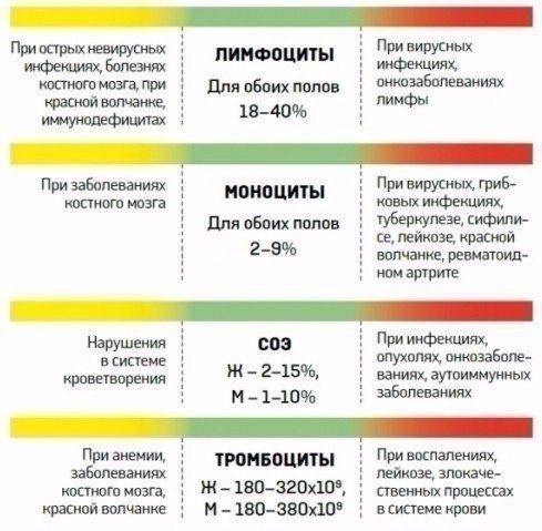 Расшифровка анализов крови