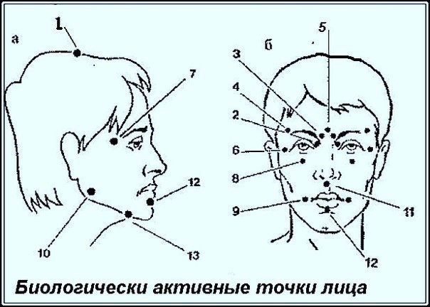 Биологически активные точки на голове - ваша скорая помощь Биологически активные точки на голове - ваша скорая помощь