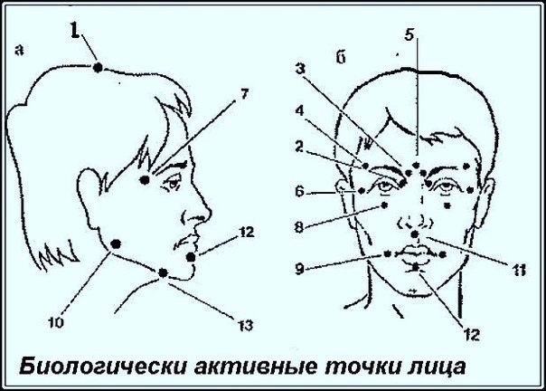 Биологически активные точки на голове - ваша скорая помощь