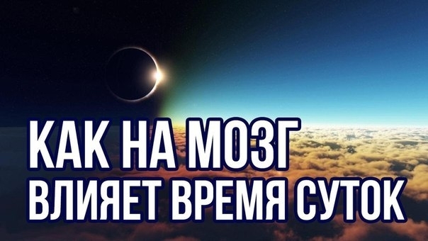 Как на мозг влияет время суток.