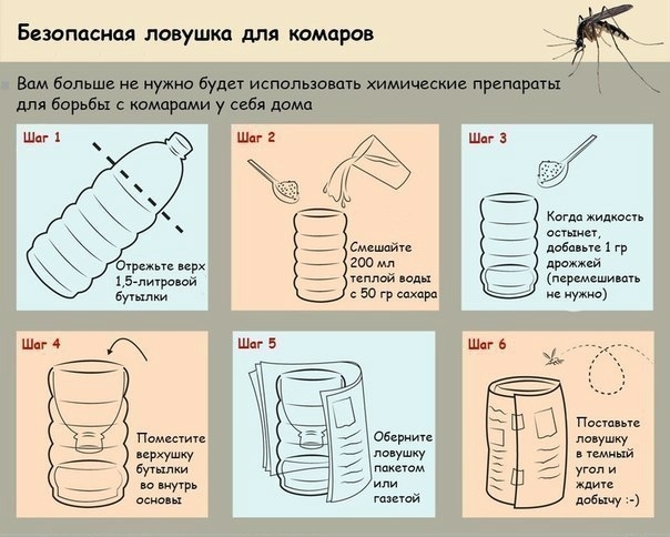 С приходом тепла активизируются различные насекомые, в том числе, и комары С приходом тепла активизируются различные насекомые, в том числе, и комары