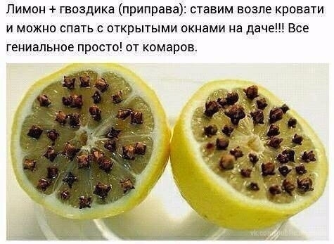 Антикомариный лайфхак