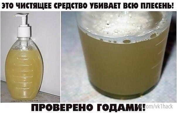 Это чистящее средство убивает всю плесень