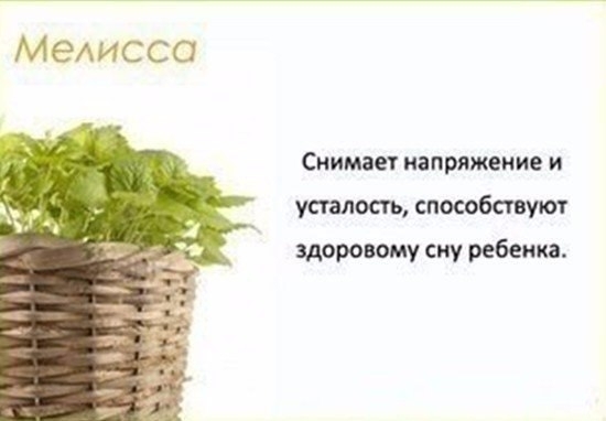 Цветы в детскую комнату