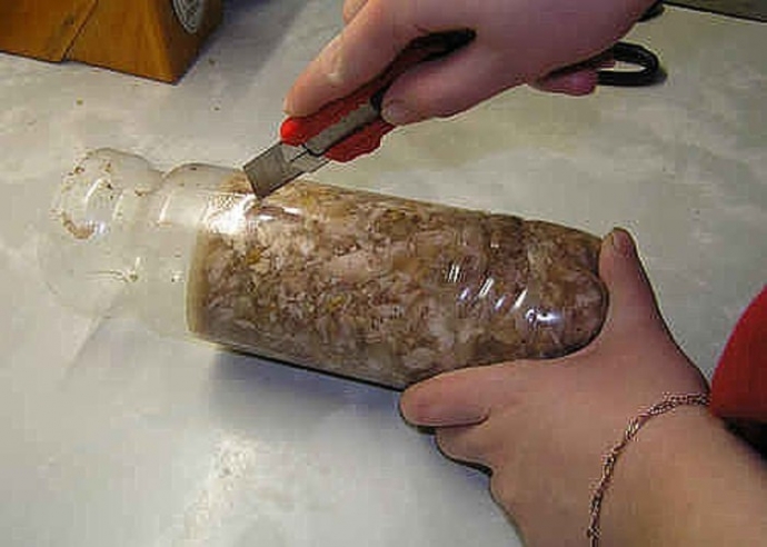 Куриный рулет в бутылке Куриный рулет в бутылке