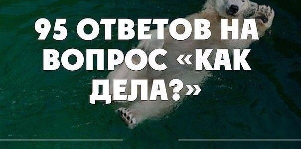 95 ответов на вопрос «Как дела?» 