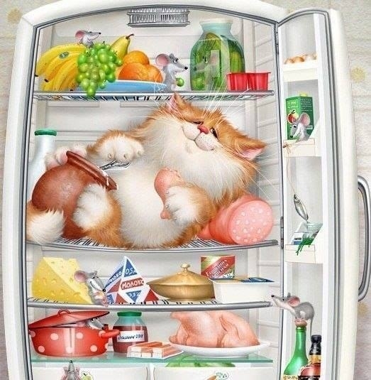 Продукты, которые нельзя хранить в холодильнике Продукты, которые нельзя хранить в холодильнике