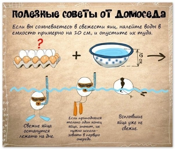 Полезные советы от домоседа