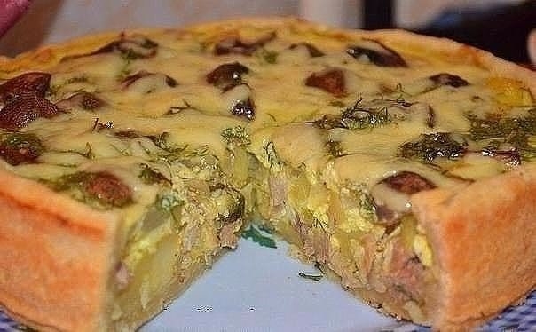 Пирог на кефире с курицей. Пойду опять за кефиром…очень удачный рецепт! Пирог на кефире с курицей. Пойду опять за кефиром…очень удачный рецепт!