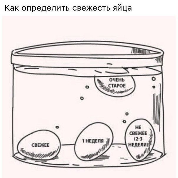 Как определить свежесть яйца