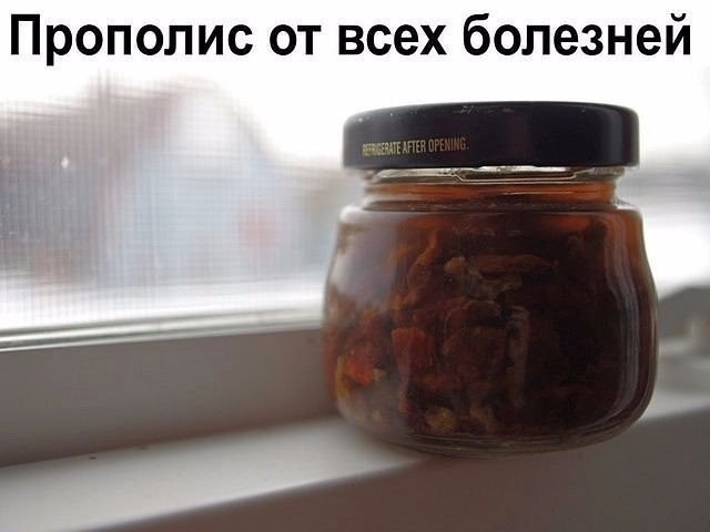 Прополис от всех болезней.