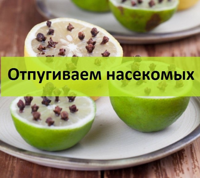 Отпугиваем насекомых.