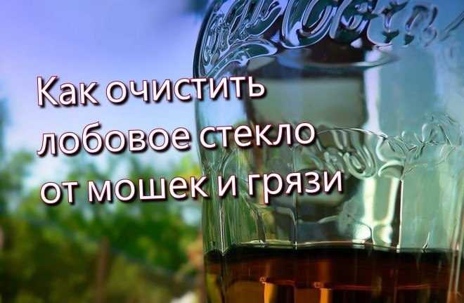 Как очистить лобовое стекло от мошек и грязи? Как очистить лобовое стекло от мошек и грязи?