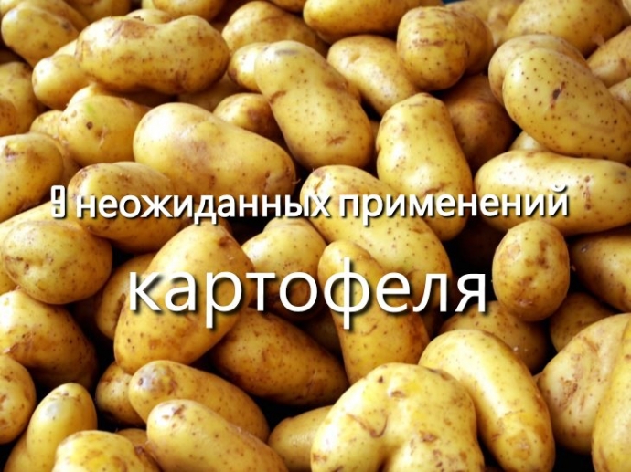 9 невероятных способов полезного применения картошки. 9 невероятных способов полезного применения картошки.