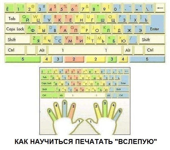 Как научиться печатать вслепую.