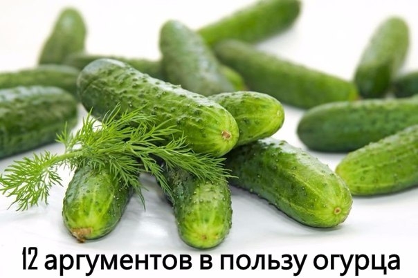 Бесценный огурец. 12 причин всегда иметь в доме зеленый овощ. Бесценный огурец. 12 причин всегда иметь в доме зеленый овощ.