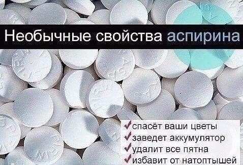 Аспирин - применение в быту. Аспирин - применение в быту.