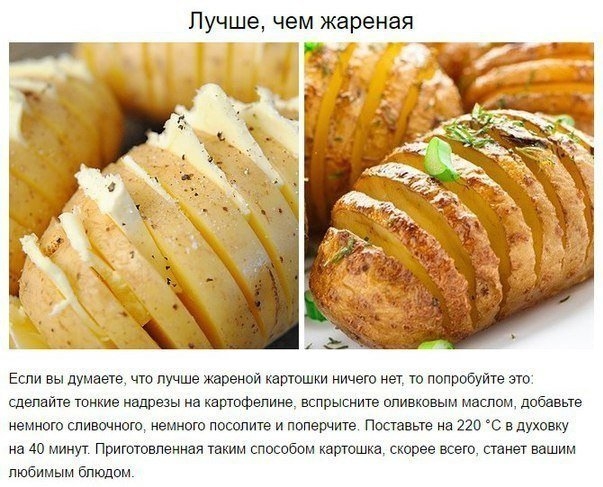 Лучше, чем жареная