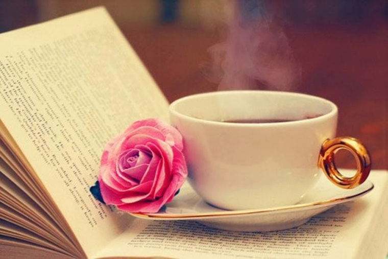 Как спасти намокшую книгу? Как спасти намокшую книгу?